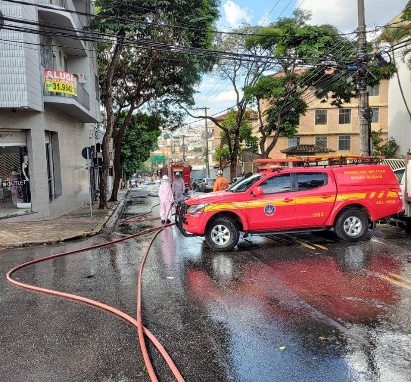 Bombeiros usaram jatos de água para dissipar abelhas