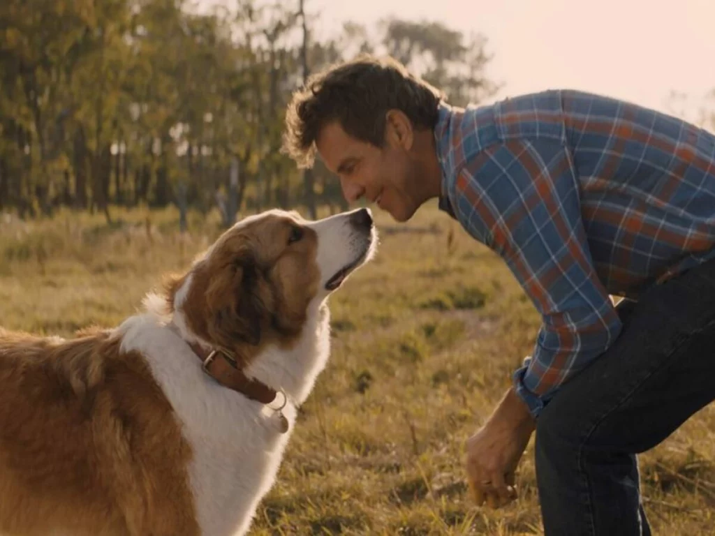 Você precisa ver esse drama emocional sobre amor e lealdade canina no Prime Video