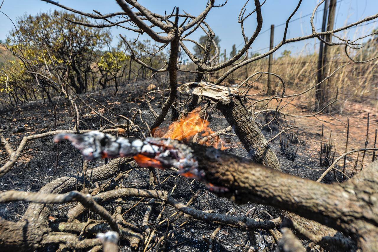 Fogo na Serra do Cipó