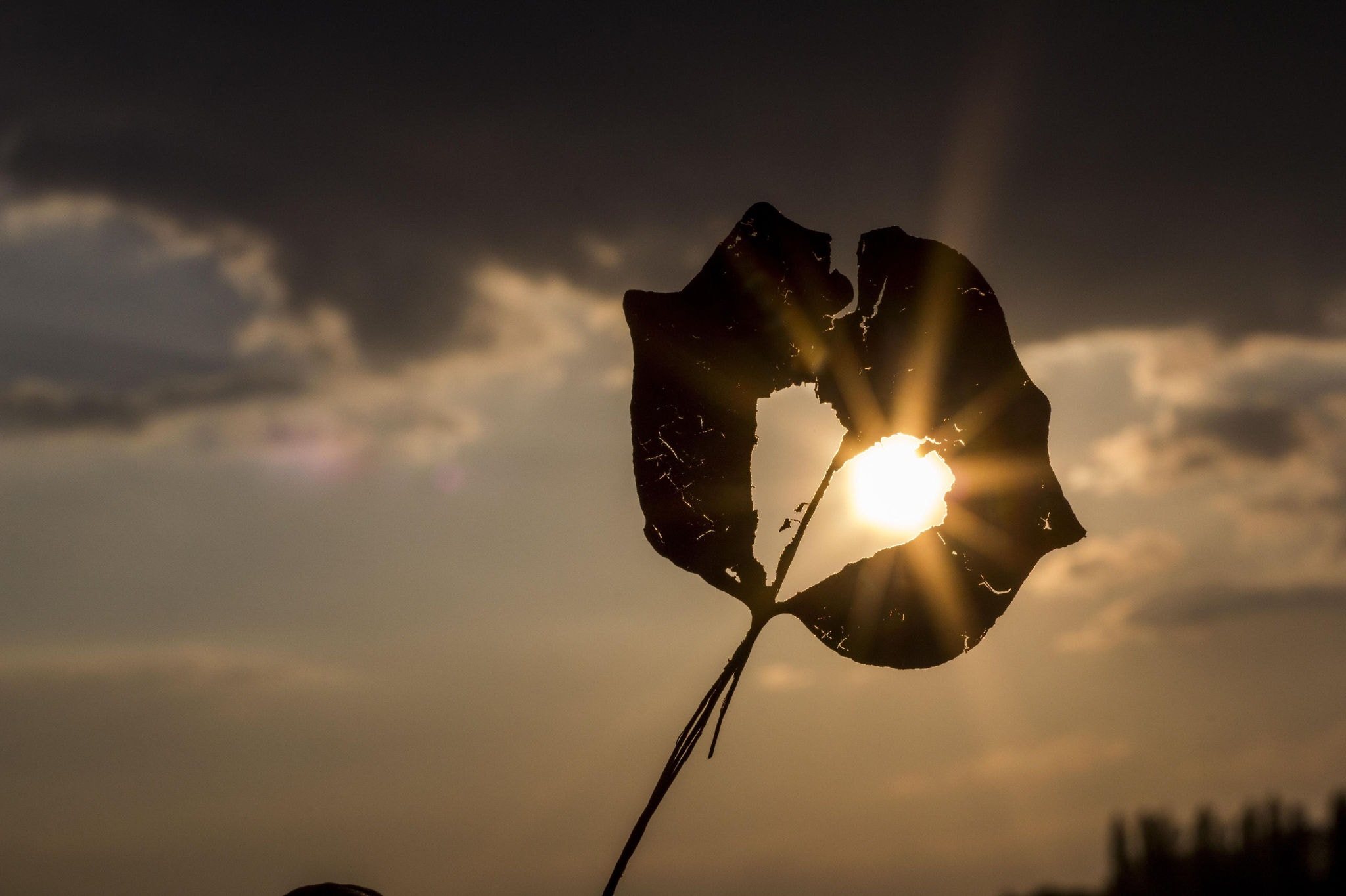 BH - Variação das temperaturas deve ficar entre 14°C e 27°C