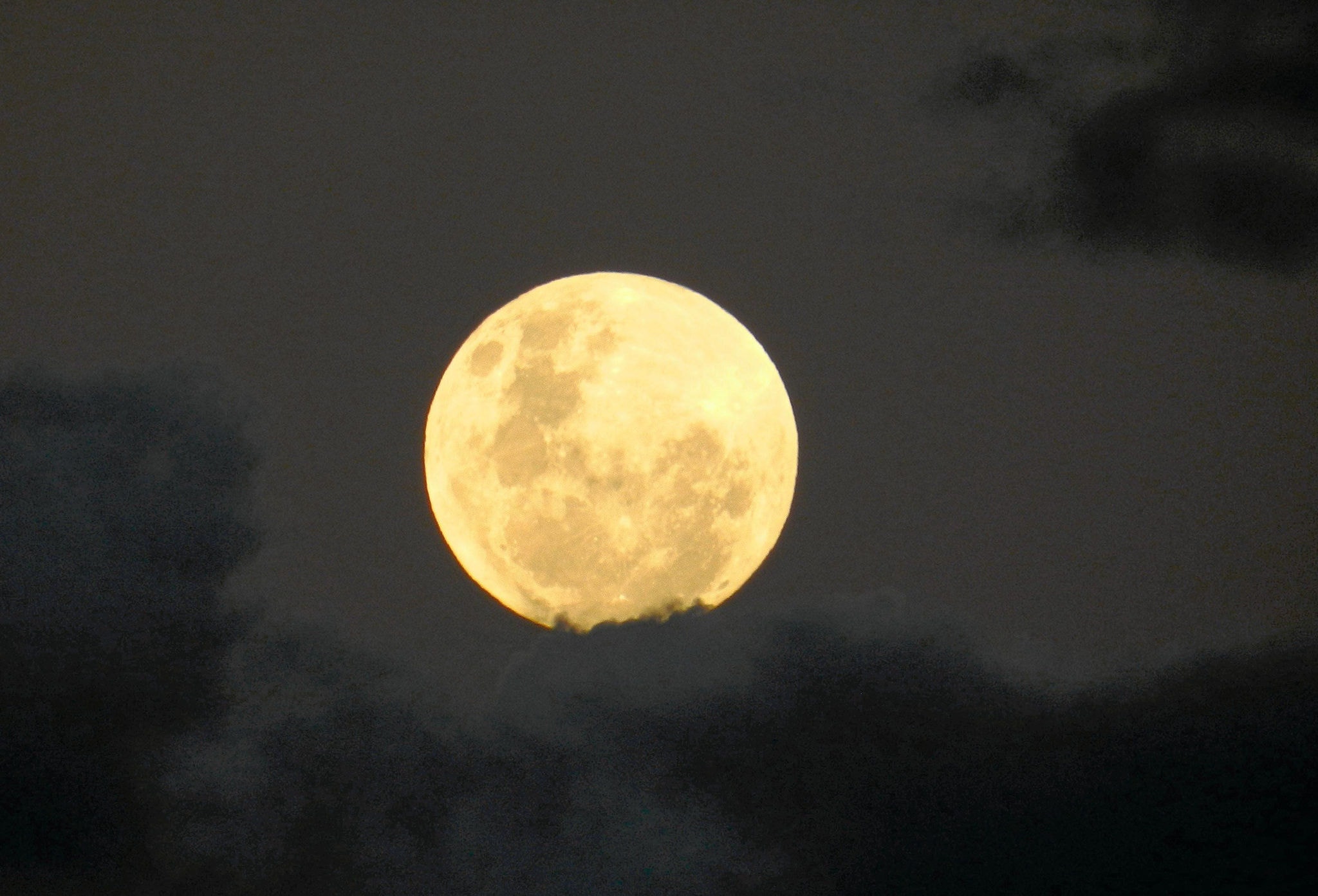 Superlua