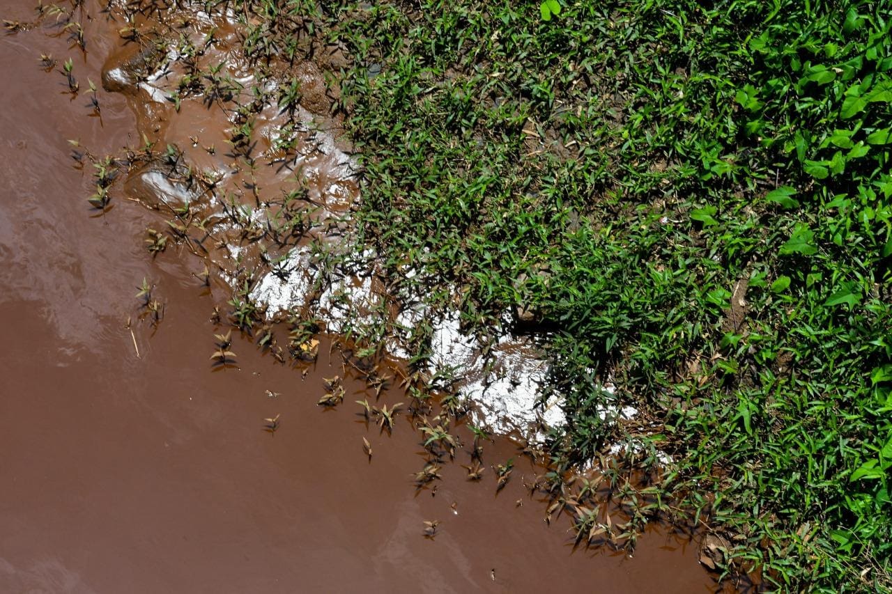 Lama que atingiu o rio Paraopeba após o rompimento da barragem