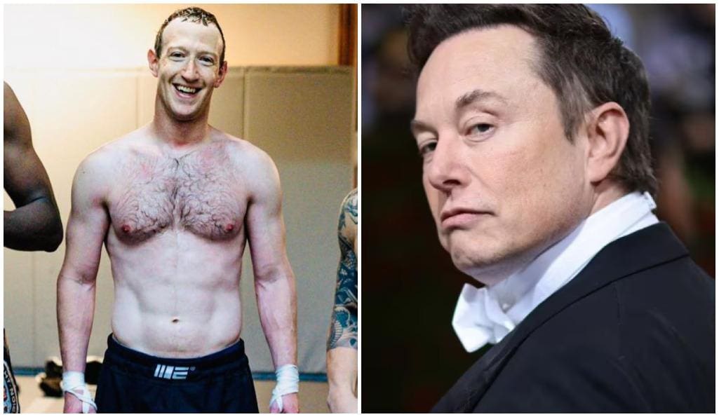 Mark Zuckerberg e Elon Musk devem se enfrentar no ringue