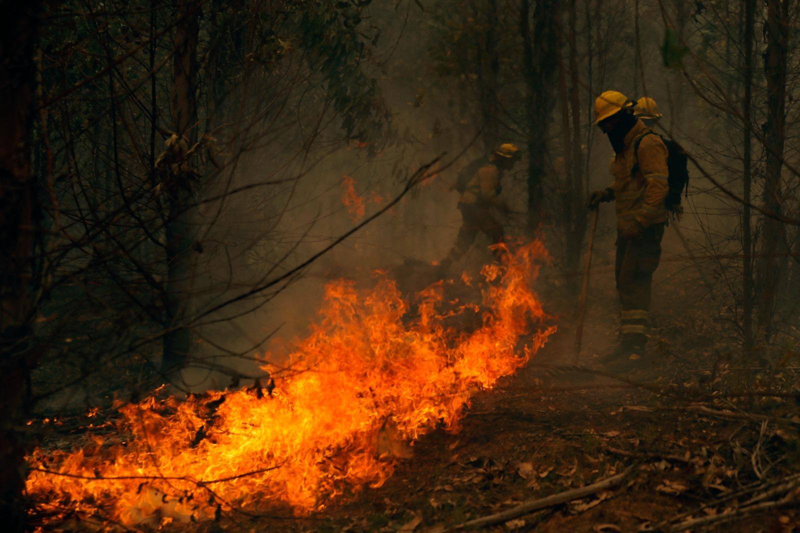 incêndios florestais no Chile matam mais de 20