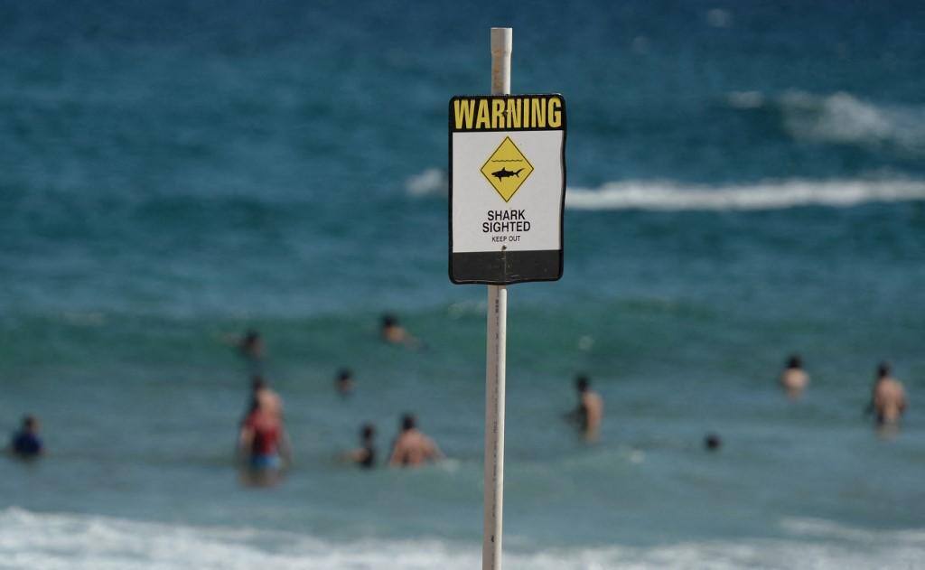 Homem morreu após ataque de tubarão na Austrália