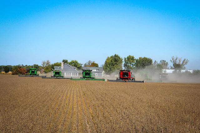 Associação Brasileira do Agronegócio (Abag) diz que crédito rural do Plano Safra 2022/23 fortalece pequenos e médios produtores.