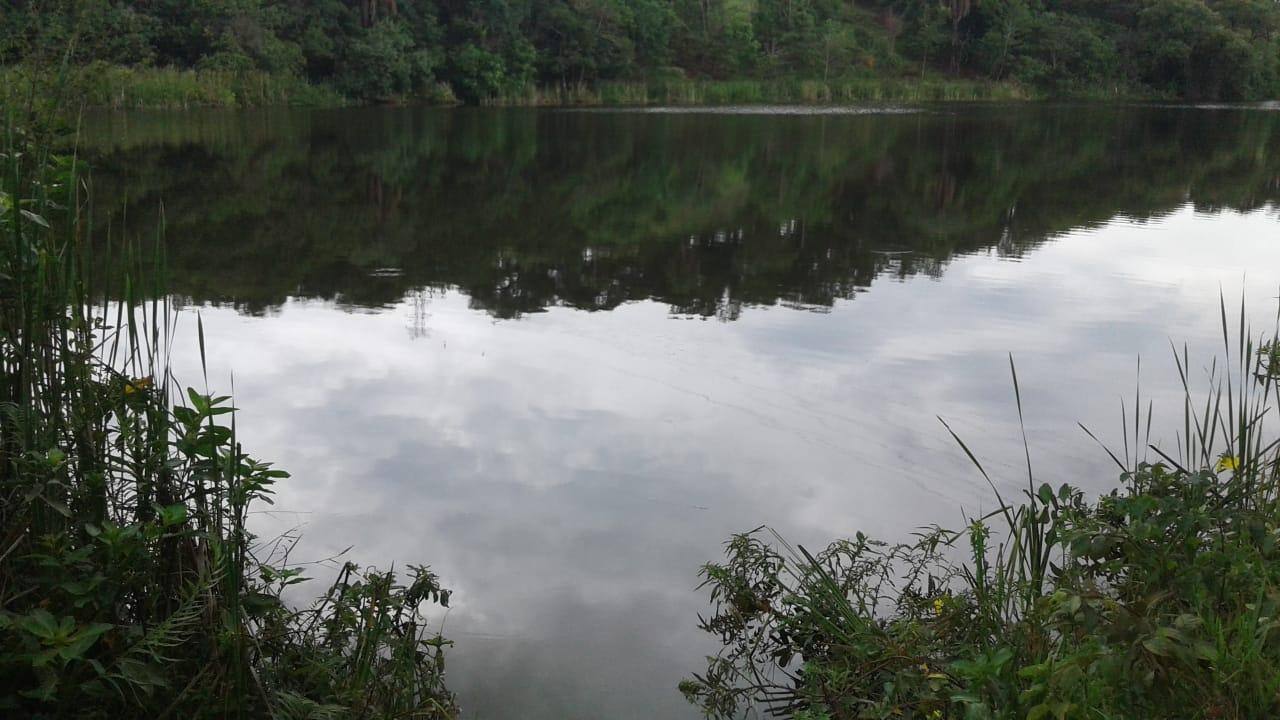 Homem morre afogado em lagoa de Matozinhos