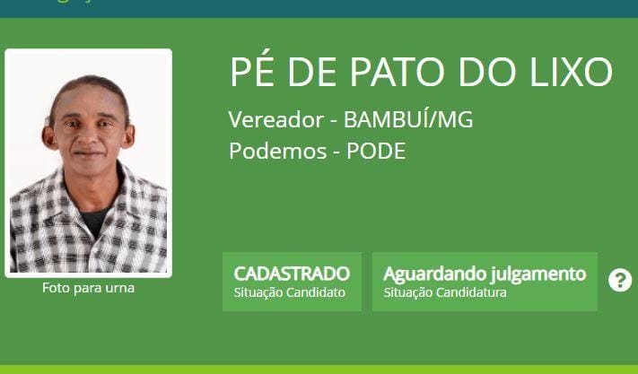 Pé de Pato do Lixo