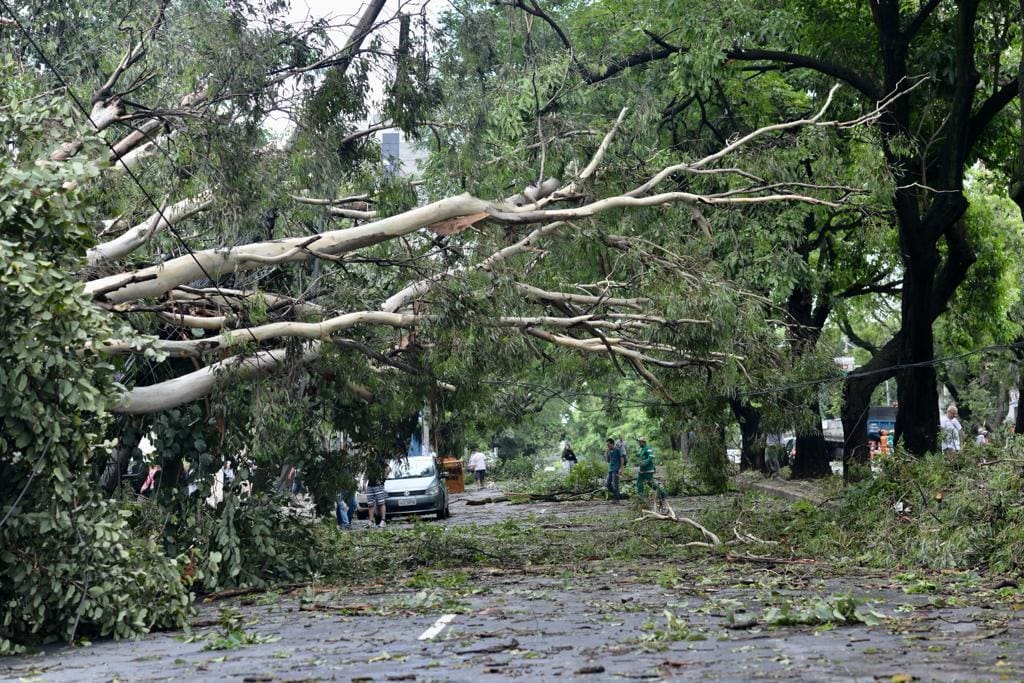 Confira as imagens dos estragos causados pela chuva que atingiu BH