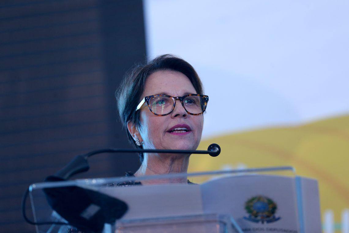 Ministra da Agricultura, Tereza Cristina
