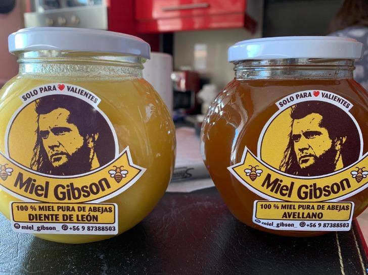 Ator Mel Gibson quer processar mulher por usar rosto dele em rótulo de mel