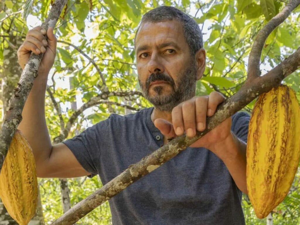 Marcos Palmeira