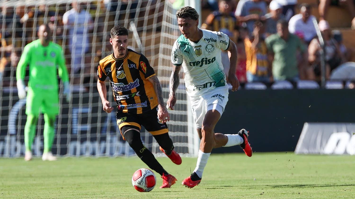 Palmeiras leva gol no último minuto e empata com o Novorizontino em estreia no Paulistão