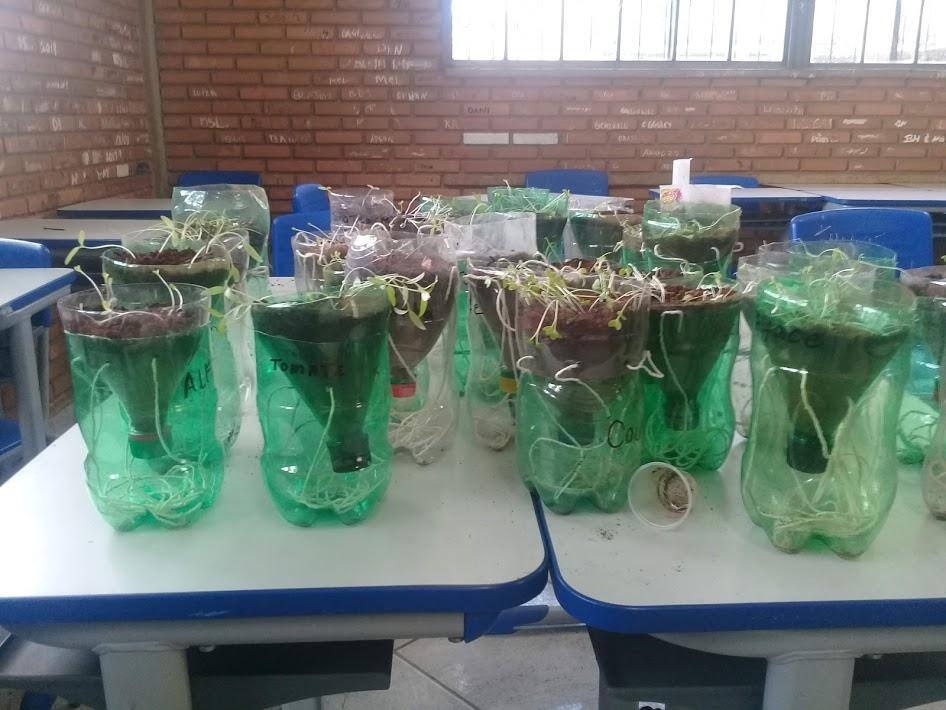Participe da horta comunitária