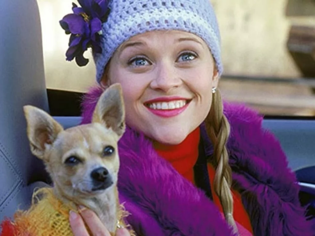 7 melhores filmes de comédia para assistir na HBO Max