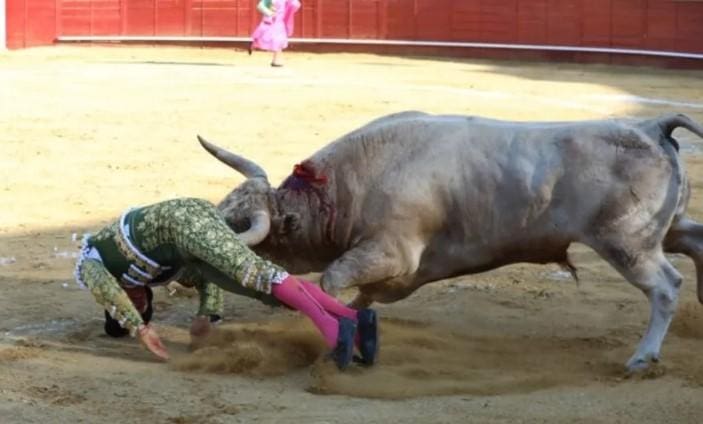 Toureiro é chifrado no ânus durante apresentação na Espanha