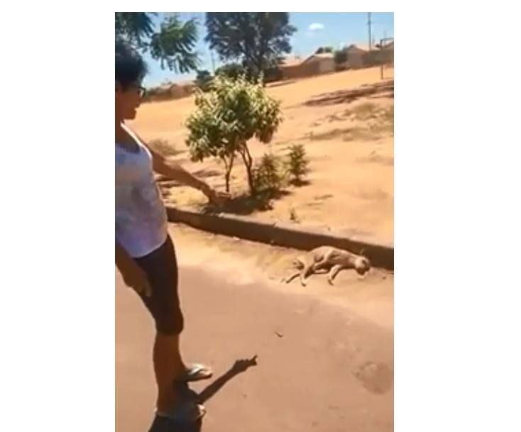 Moradores que cuidavam do animal ficaram revoltados com a situação e cobram justiça