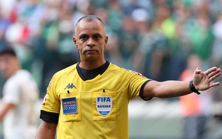 Wilton Pereira Sampaio durante partida do Brasileirão (Foto: Cesar Greco/Palmeiras)