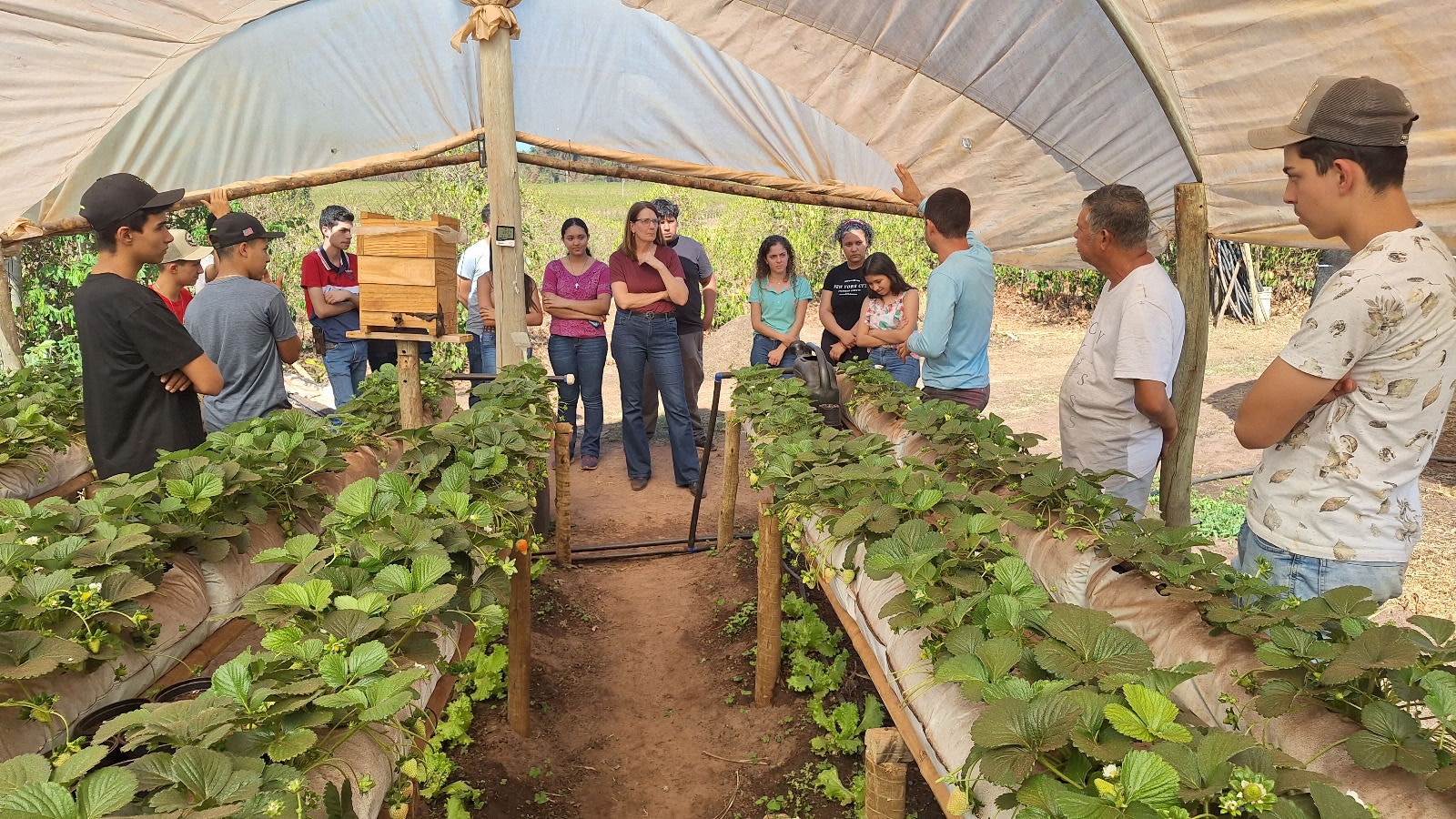 12 agricultores familiares de Claraval participaram das vendas ao Pnae