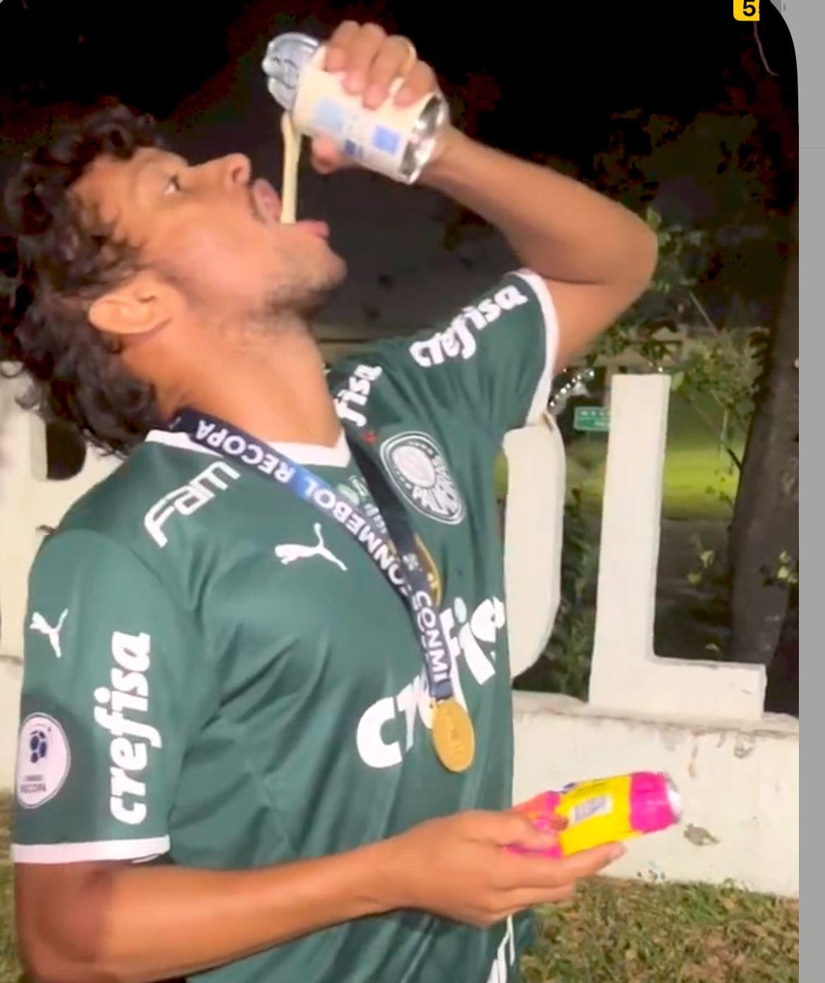 Gustavo Scarpa conquistou duas Libertadores pelo Palmeiras