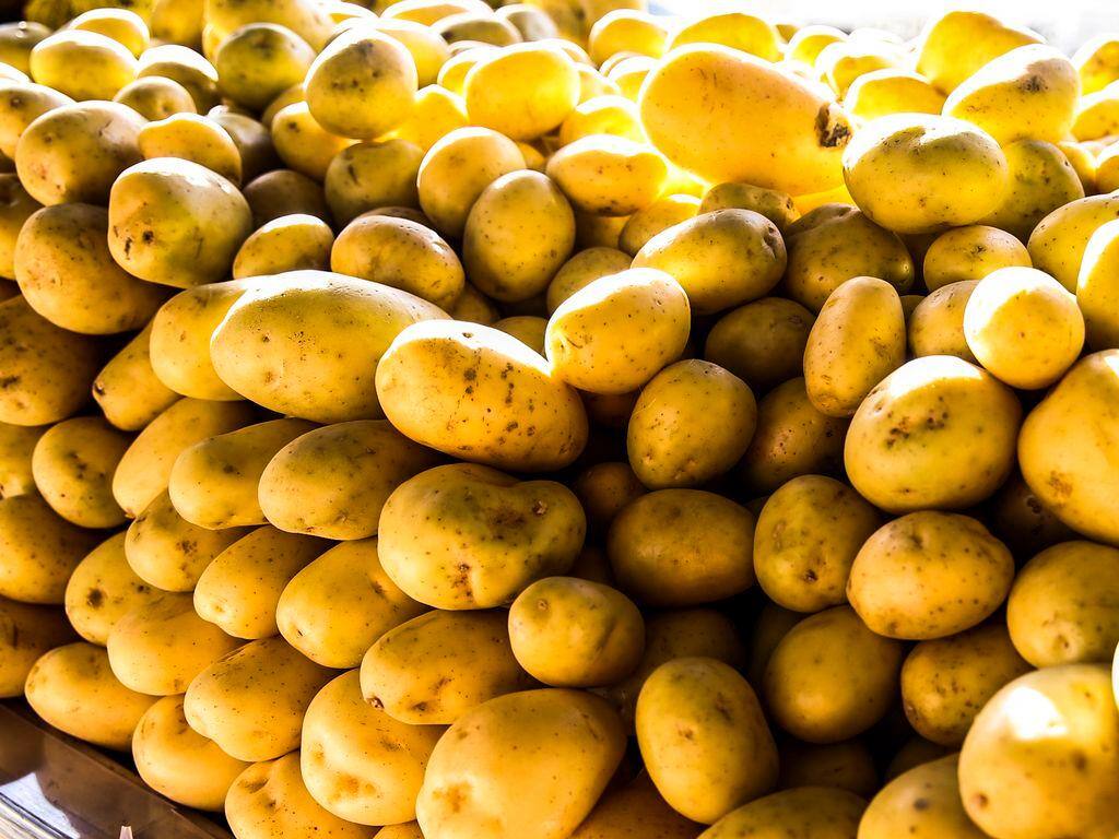 Batata Inglesa