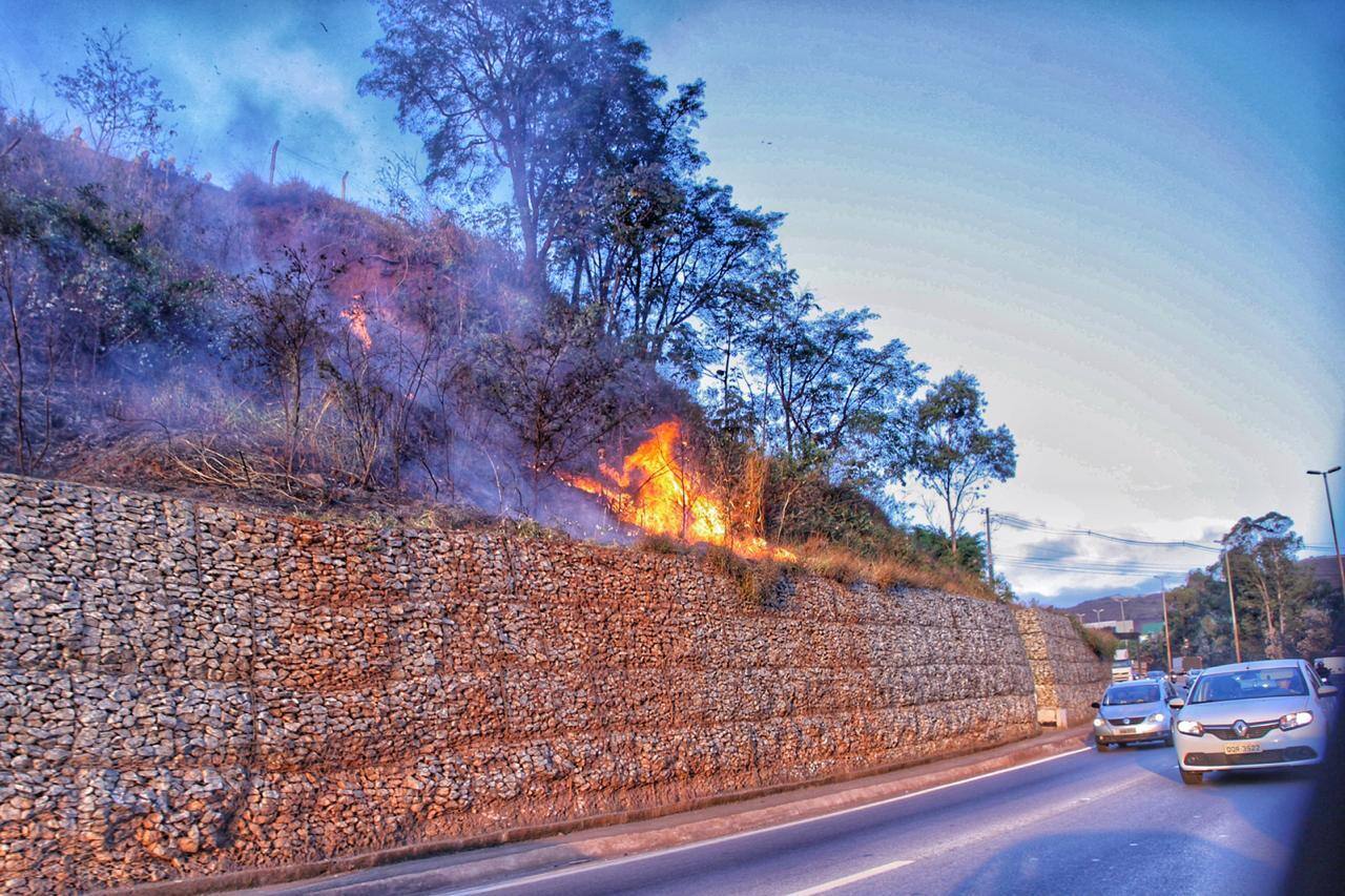 Incêndio destrói vegetação às margens do Anel Rodoviário