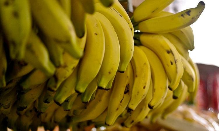 Bananas amadurecem mais rápido em períodos de altas temperaturas