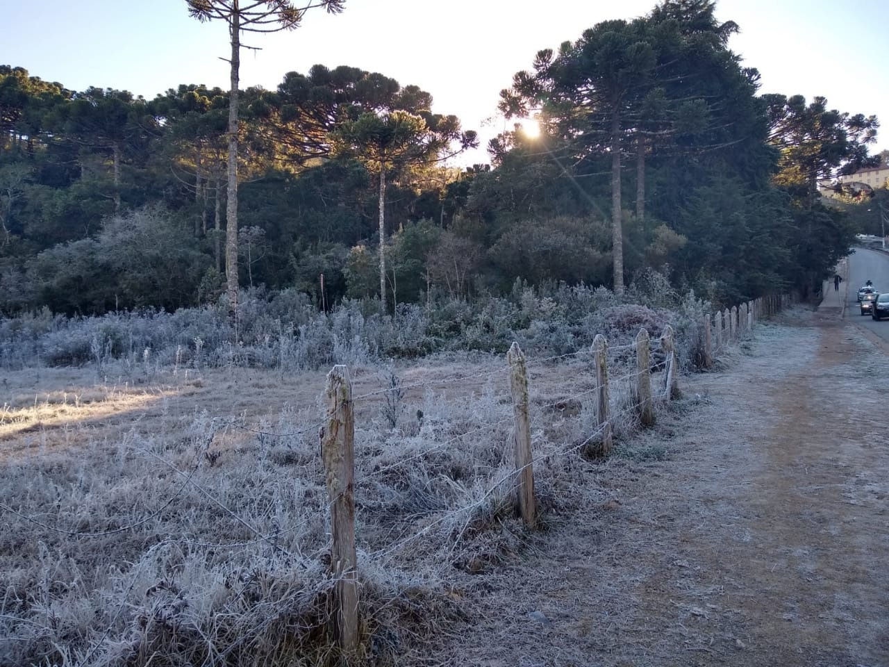 Foto mostra geada em Monte Verde, distrito de Camanducaia, que é uma das cidades da lista