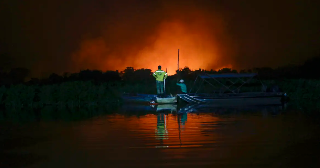 Pantanal sofre há anos com queimadas constantes