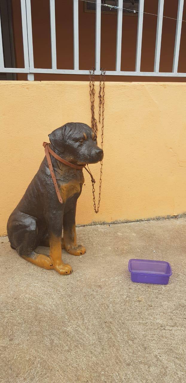 Cachorro de plástico