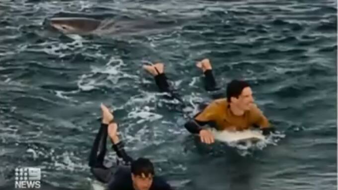 Surfista conseguiu se salvar de ataque de tubarão