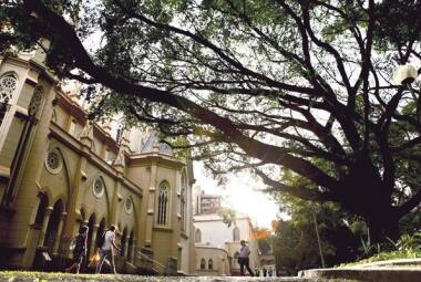 Na praça onde fica a Igreja de Nossa Senhora da Boa Viagem também há fícus doentes
