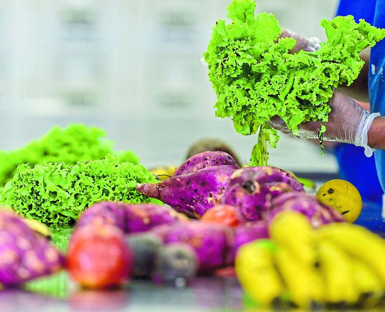 banco de alimentos pbh