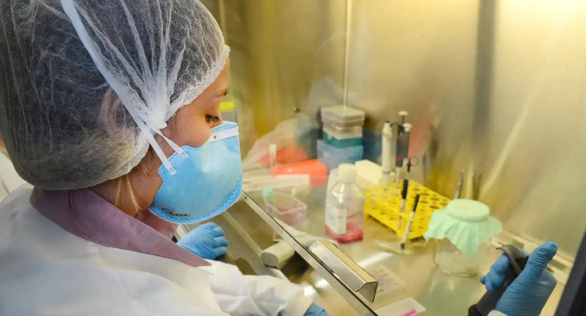 Pesquisadores da USP tiveram resultados importantes no desenvolvimento de vacina contra o zika vírus