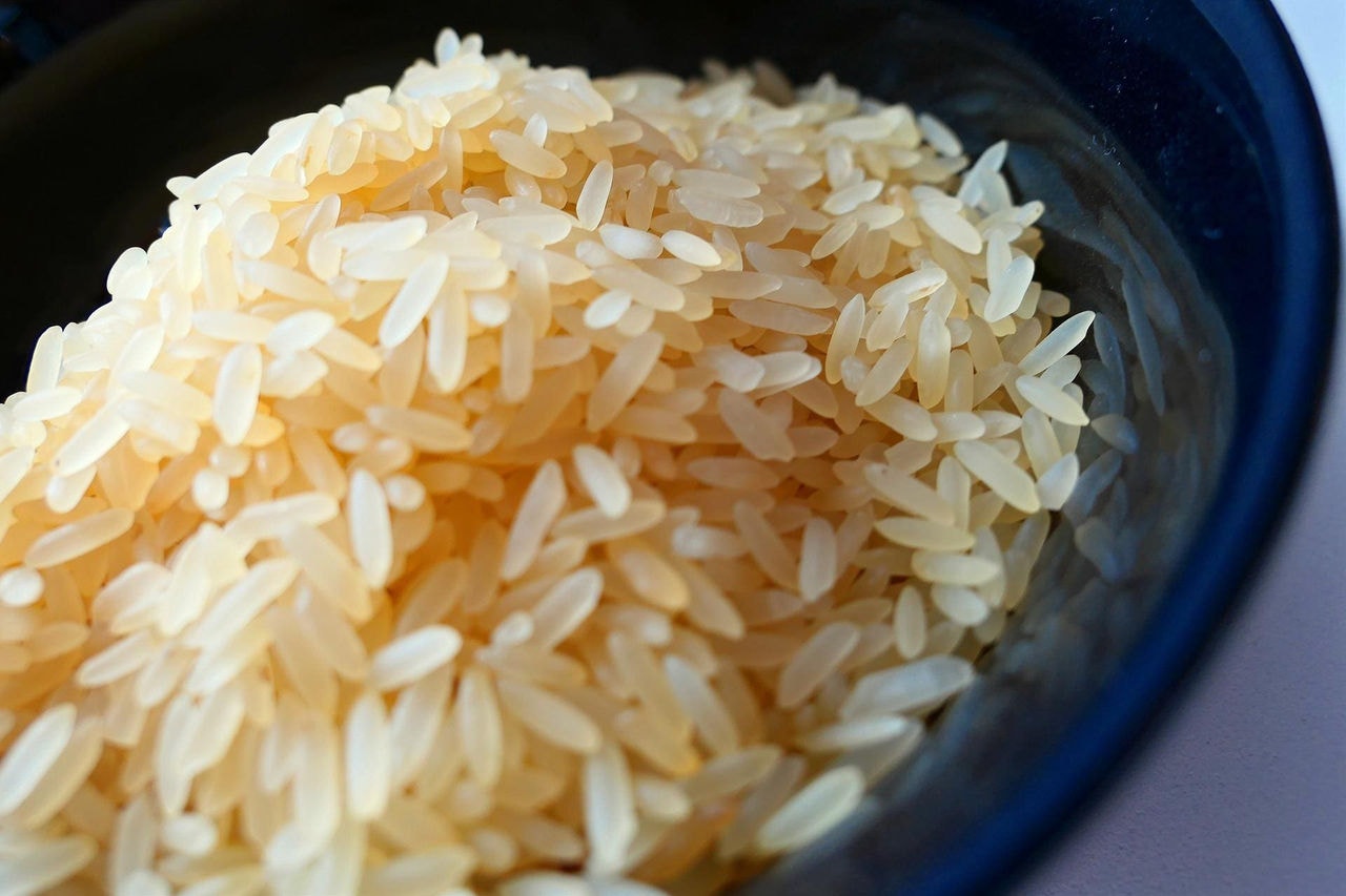 Arroz teve a maior alta de preço em 12 meses desde o período encerrado em agosto de 2021