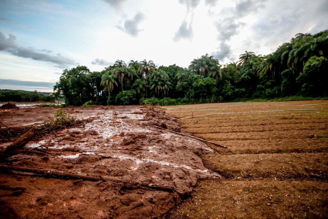 Medida chega poucos dias após o rompimento da barragem da Vale, em Brumadinho