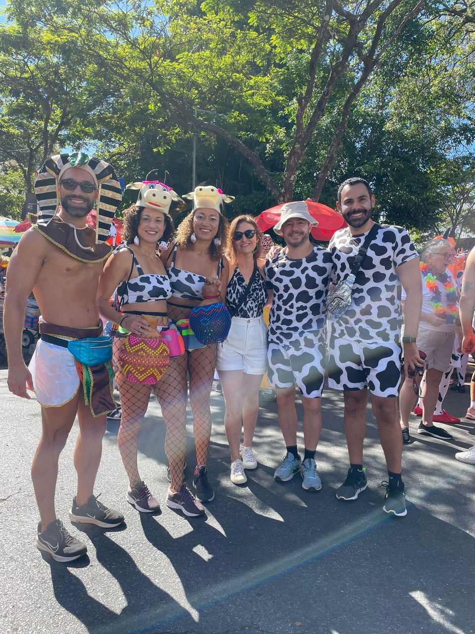 Adereços com estampas de vaquinhas, muito brilho e purpurina: as tradicionais fantasias que são uma das marcas do bloco de rua Mama na Vaca