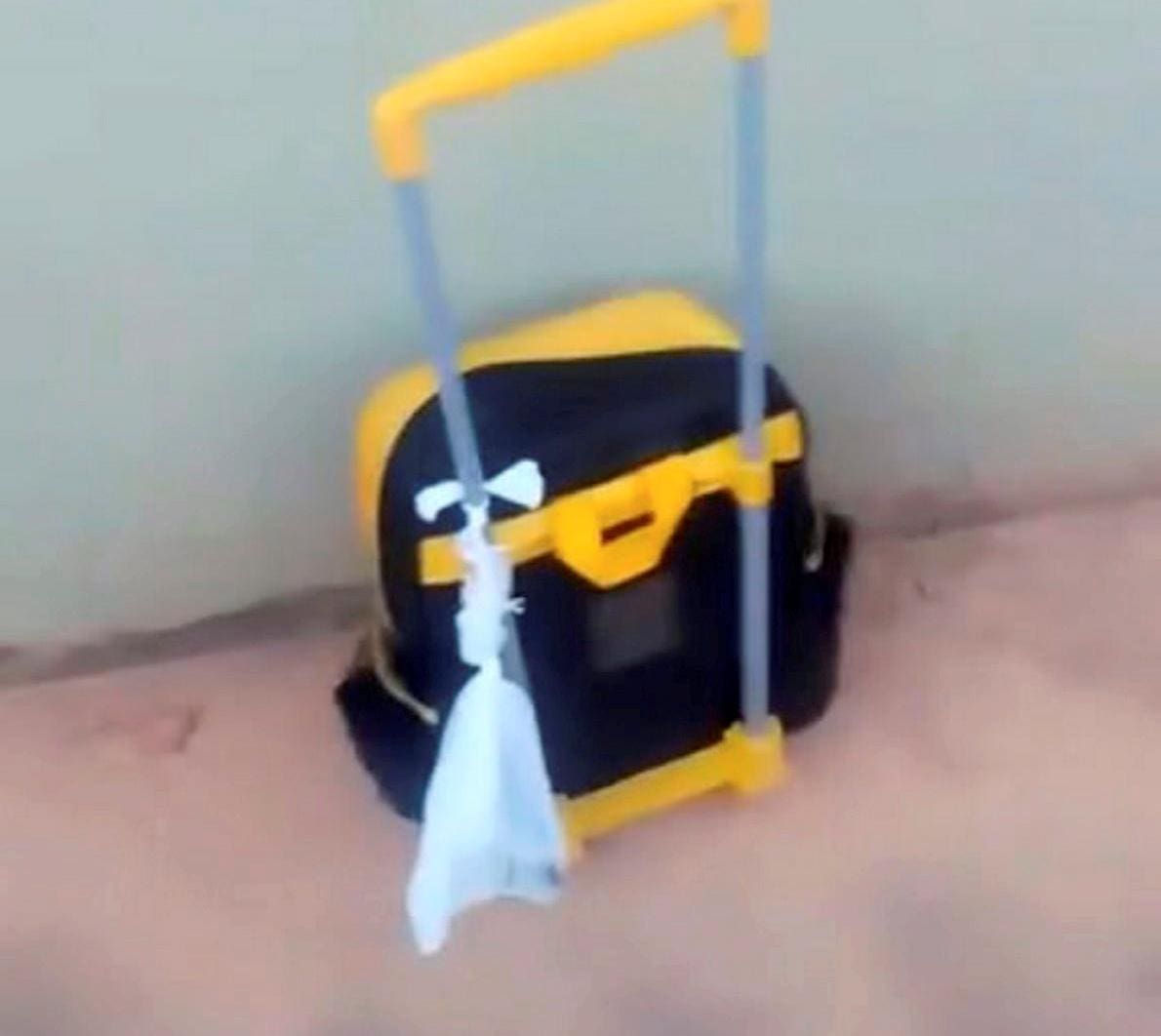 Mãe fez vídeo mostrando sacola amarrada em mochila