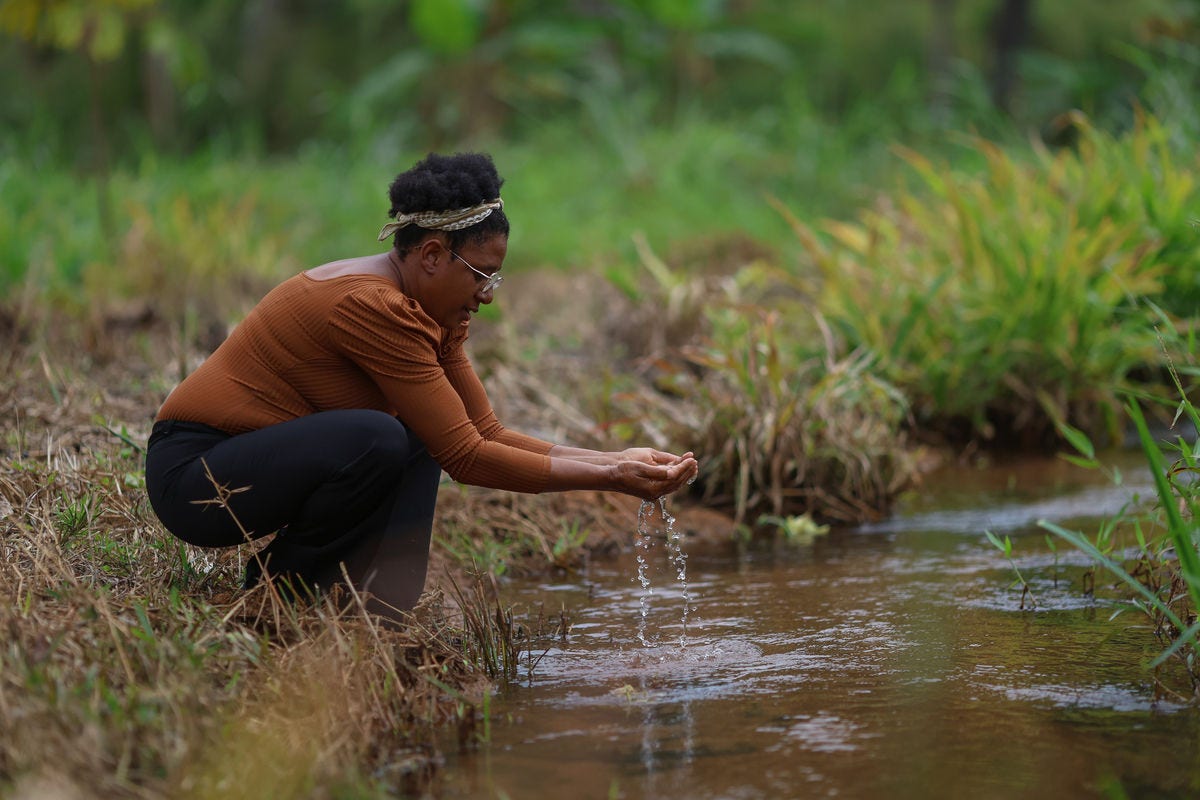 Ivalci planta hortaliças, café e diversas frutas em sua terra, em Ouro Verde de Minas
