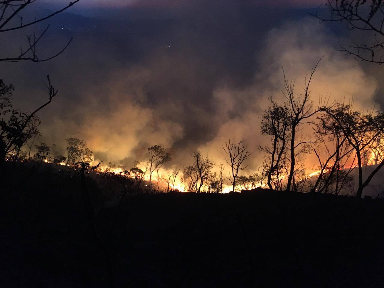 Incêndio aconteceu em uma parte da mata da mina Cuiabá, da AngloGold Ashanti, em Sabará