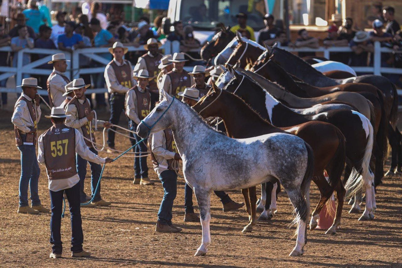 41ª Exposição Nacional do Cavalo Mangalarga Marchador acontece no Parque de Exposições da Gameleira, em BH