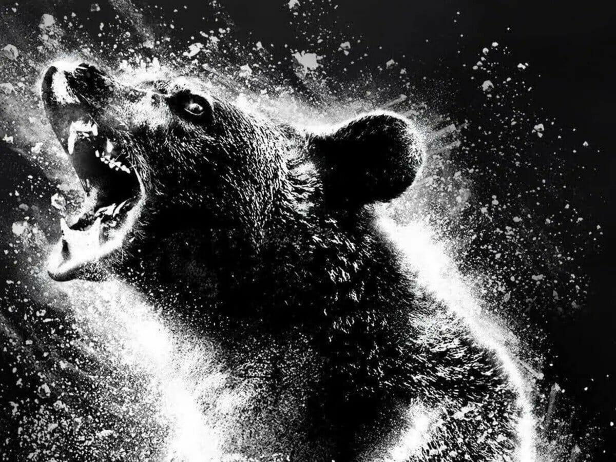 O Urso do Pó Branco chega aos cinemas: Conheça essa comédia inusitada