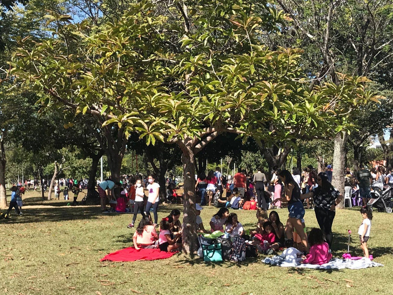 Domingo no Campus voltou a ser realizado na UFMG