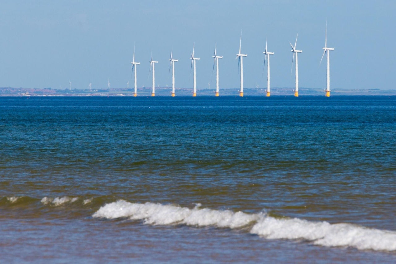 Energia eólica offshore já é realidade em países europeus Sem planejamento indicado pela Unesco, Brasil pode passar "carro na frente dos bois" e colocar biodiversidade em risco