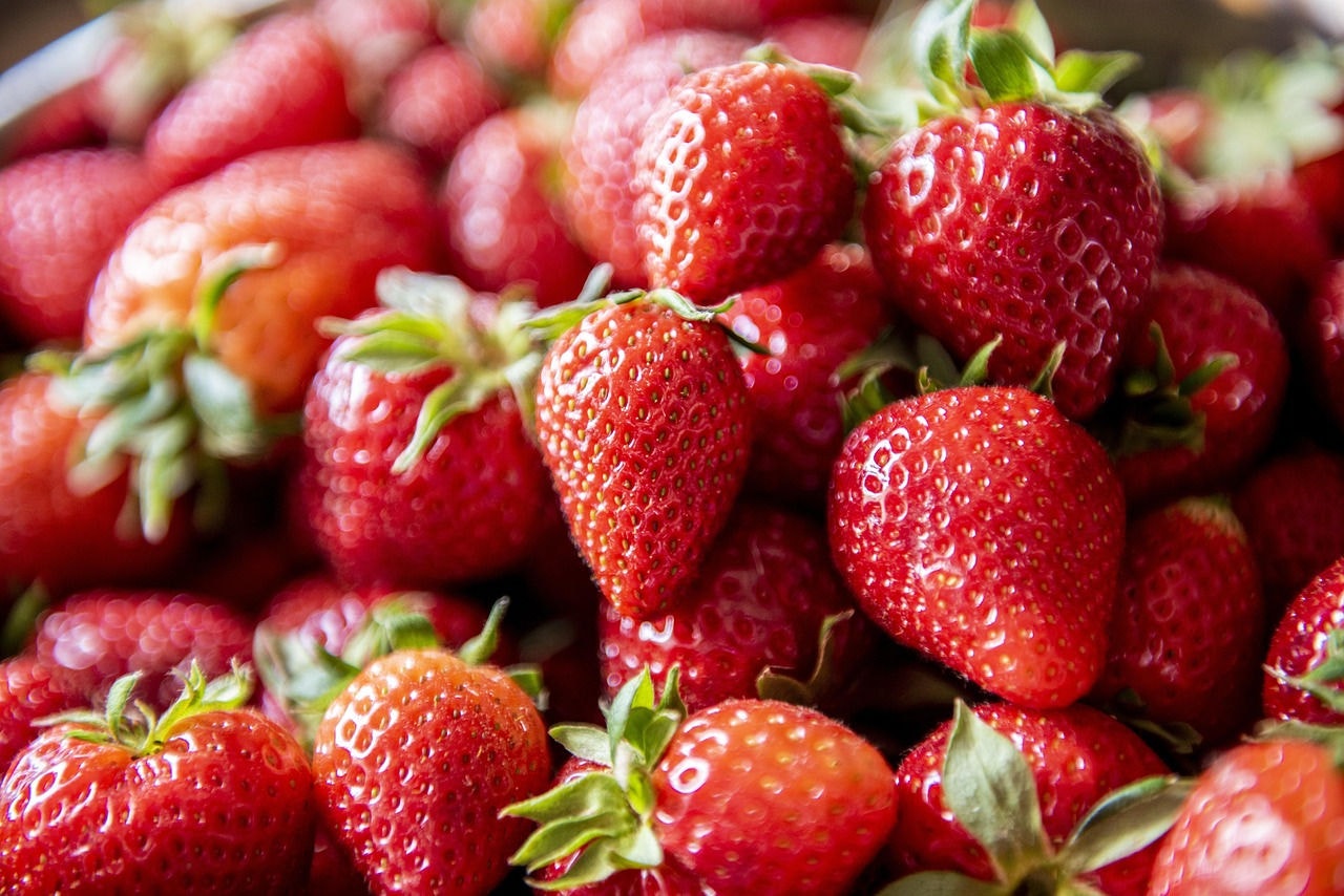 Febre: morango do amor tem feito com que comerciantes trabalhem dobrado para garantir estoques
