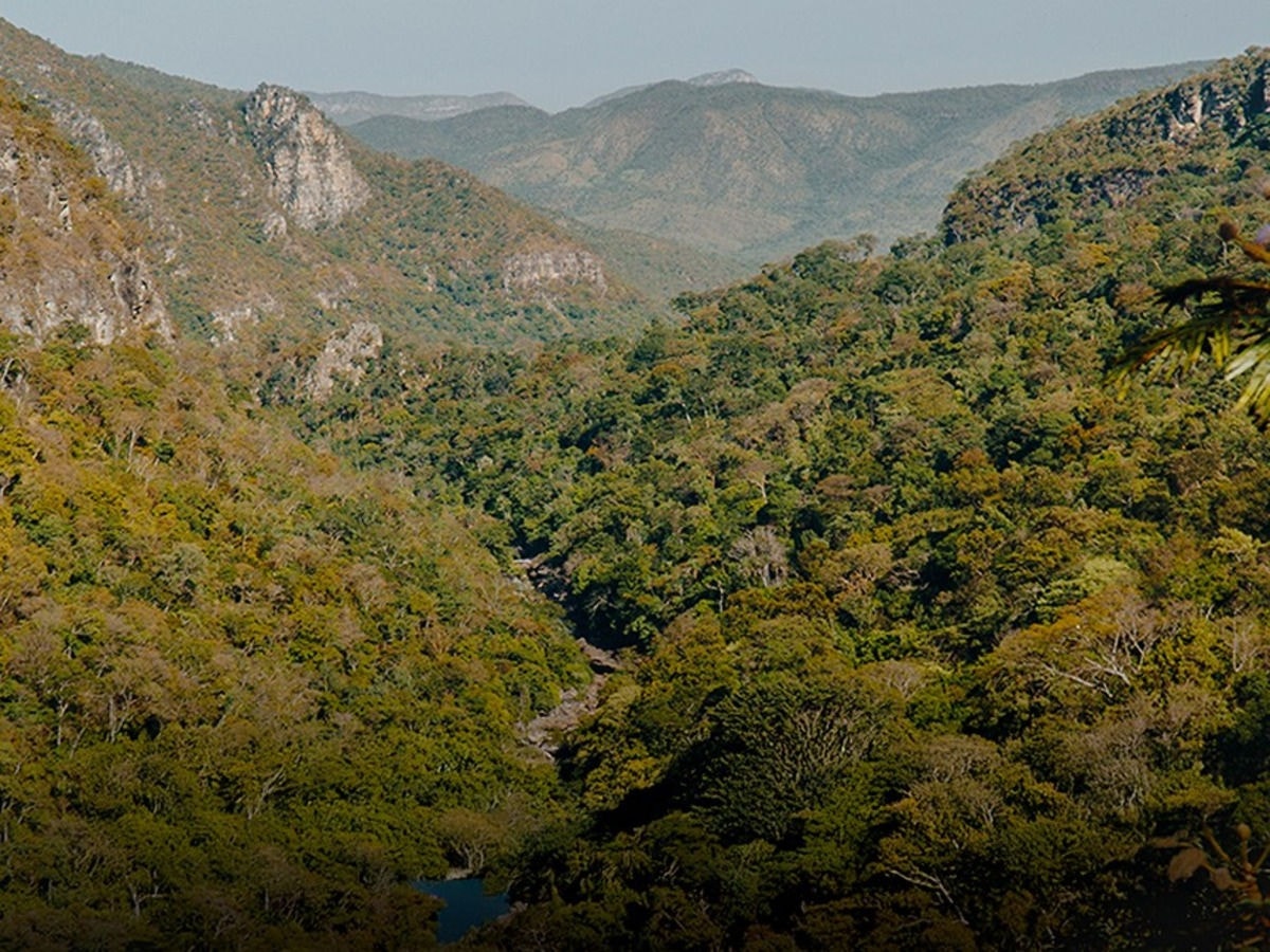 O Parque Nacionaol da Chapada dos Veadeiros protege a exuberância do Cerrado