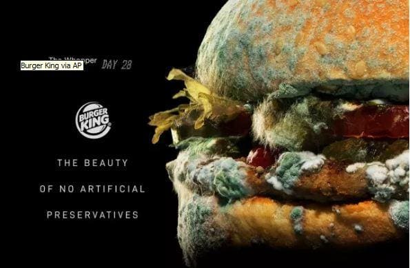 Hambúrguer Whopper do Burger King em decomposição