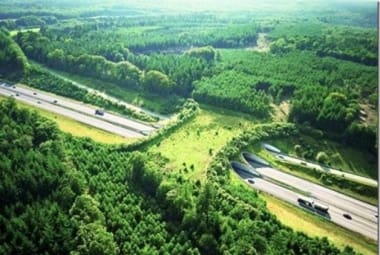 Corredor verde