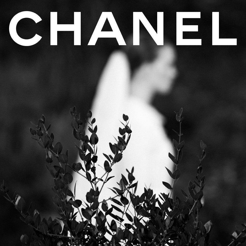 chaneljpg