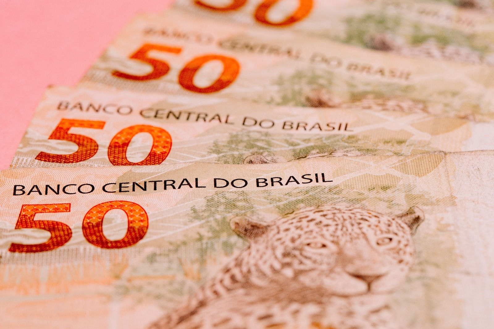 A onça-pintada ilustra a nota de R$ 50